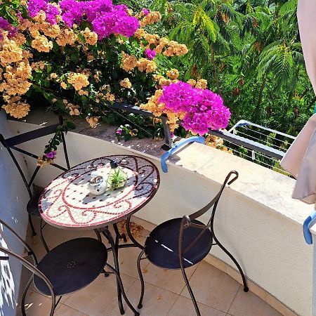 Apartment Oaza Mira Трибунь Экстерьер фото