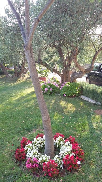 Apartment Oaza Mira Трибунь Номер фото